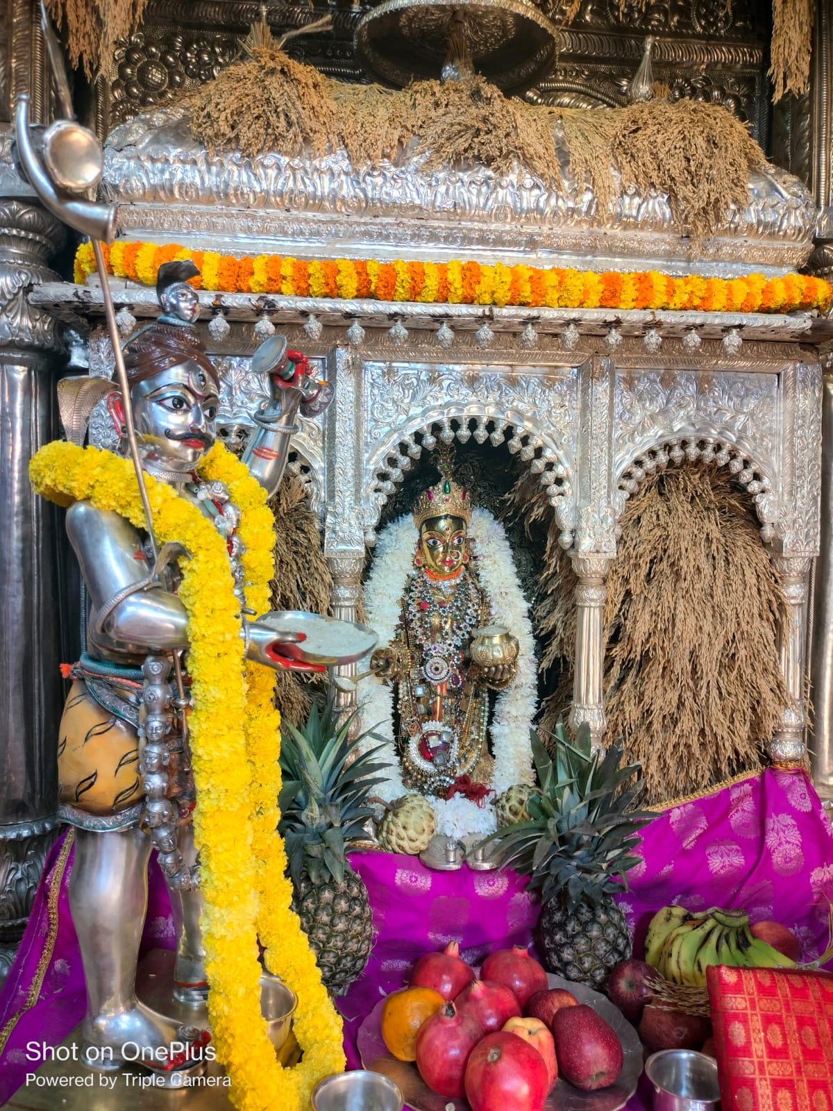 मां अन्नपूर्णा के 17 दिवसीय महाव्रत का हुआ उद्यापन