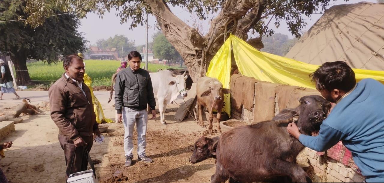फायर ब्रिगेड के जवानों ने गहरे कूंयें में गिरी गाय को सुरक्षित निकाला