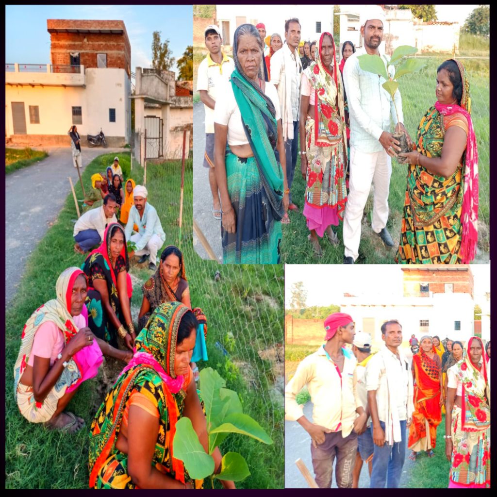 कौवापुर ग्राम सभा खेल मैदान पर किया गया पौधरोपण ग्राम प्रधान नें बताये पौधा ही जीवन है