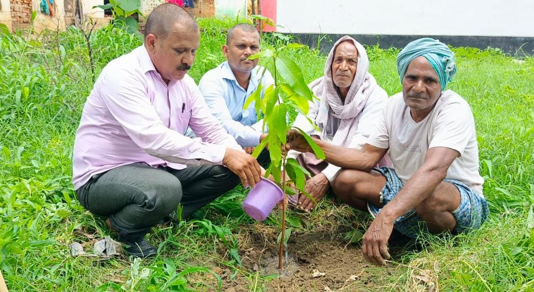 पौधरोपण के समय सेल्फी से अधिक जरूरी है पौधों का संरक्षण