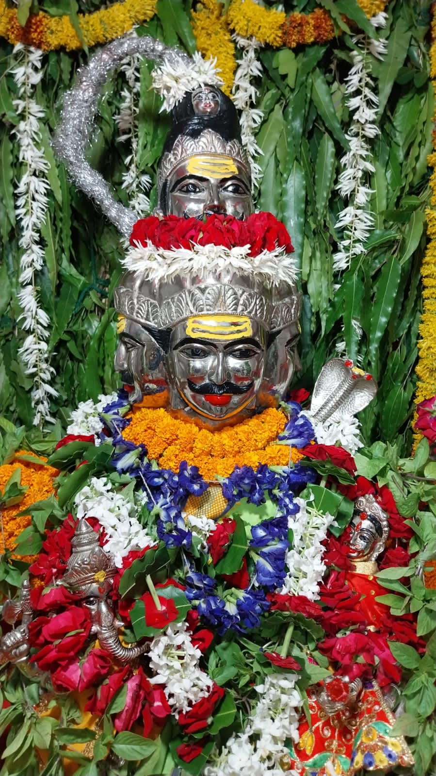 बाबा की पंचबदन चल प्रतिमा का हुआ हरियाली श्रृंगार,श्रावण पूर्णिमा पर बाबा का होगा झुलनोत्सव 