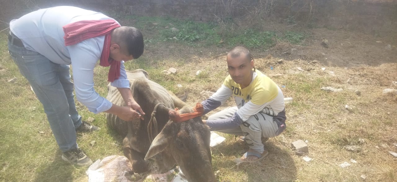गौ सेवा एवं गौ रक्षा हमारा परम धर्म और प्रथम कर्तव्य- राम सुकुल तिवारी