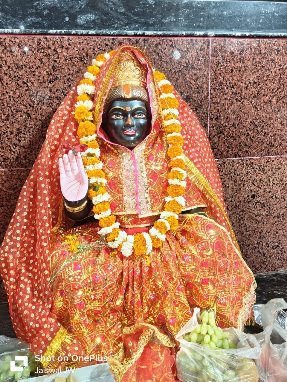 बाबा बैजनाथ धाम में भव्य मूर्ति प्राण प्रतिष्ठा और विशाल भंडारा संपन्न
