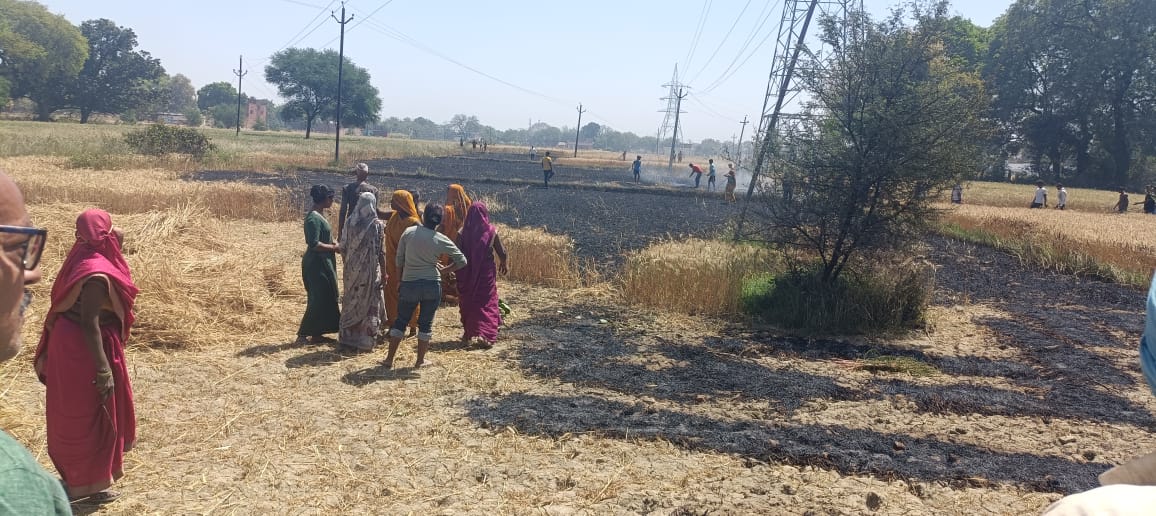 शॉर्ट सर्किट से लगी आग, दो बीघा गेहूं जलकर खाक