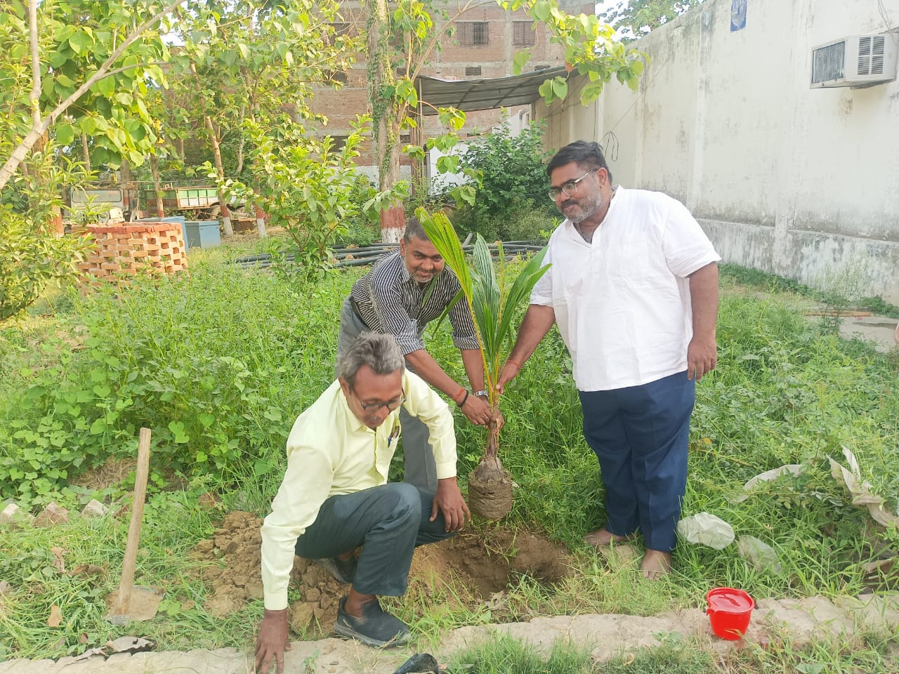 विश्व पर्यावरण दिवस पर पौधारोपण कर दी गई श्रद्धांजलि