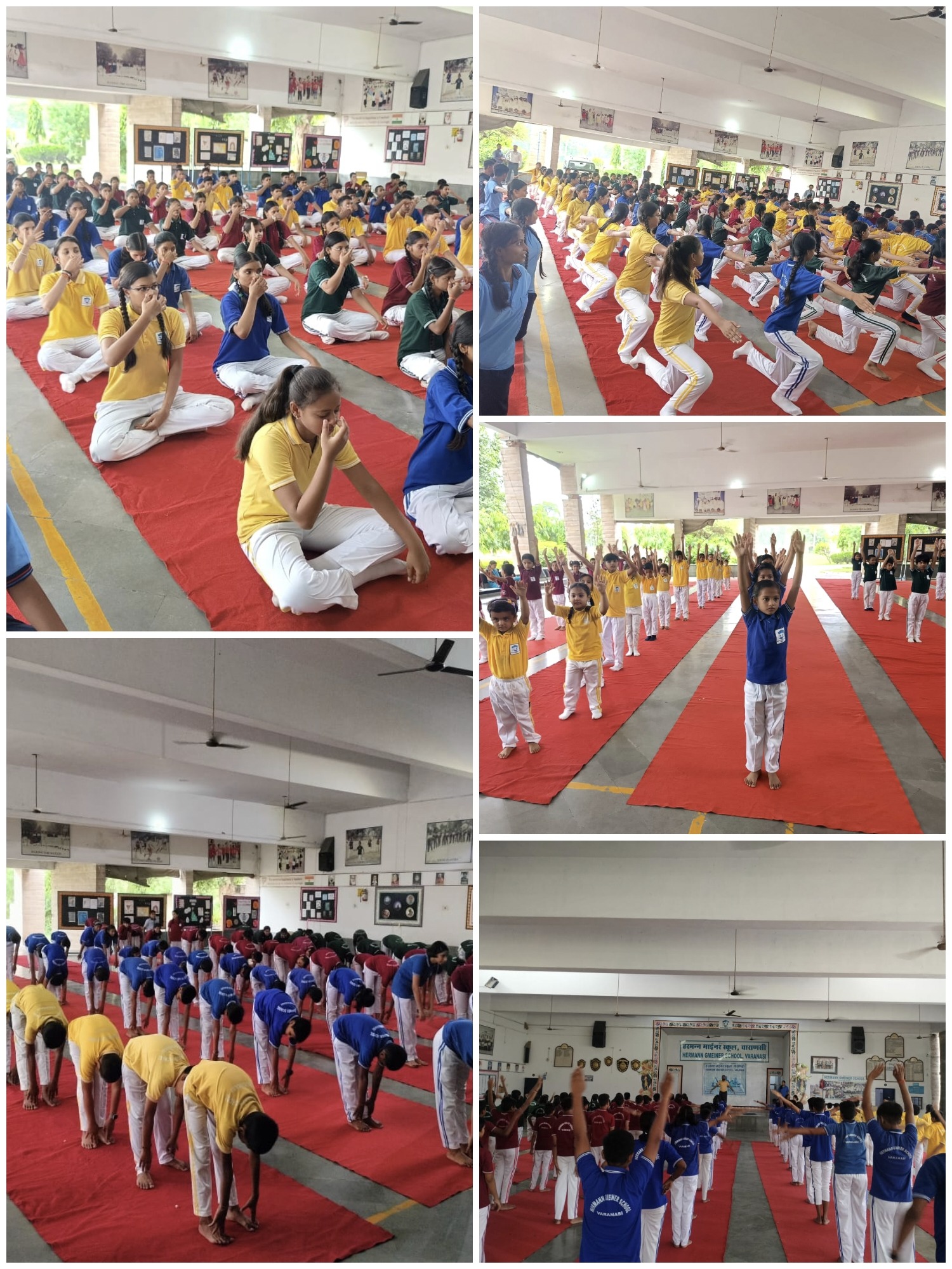 हरमन माइनर स्कूल डुबकियां में अंतरराष्ट्रीय योग दिवस पर योग शिविर का आयोजन