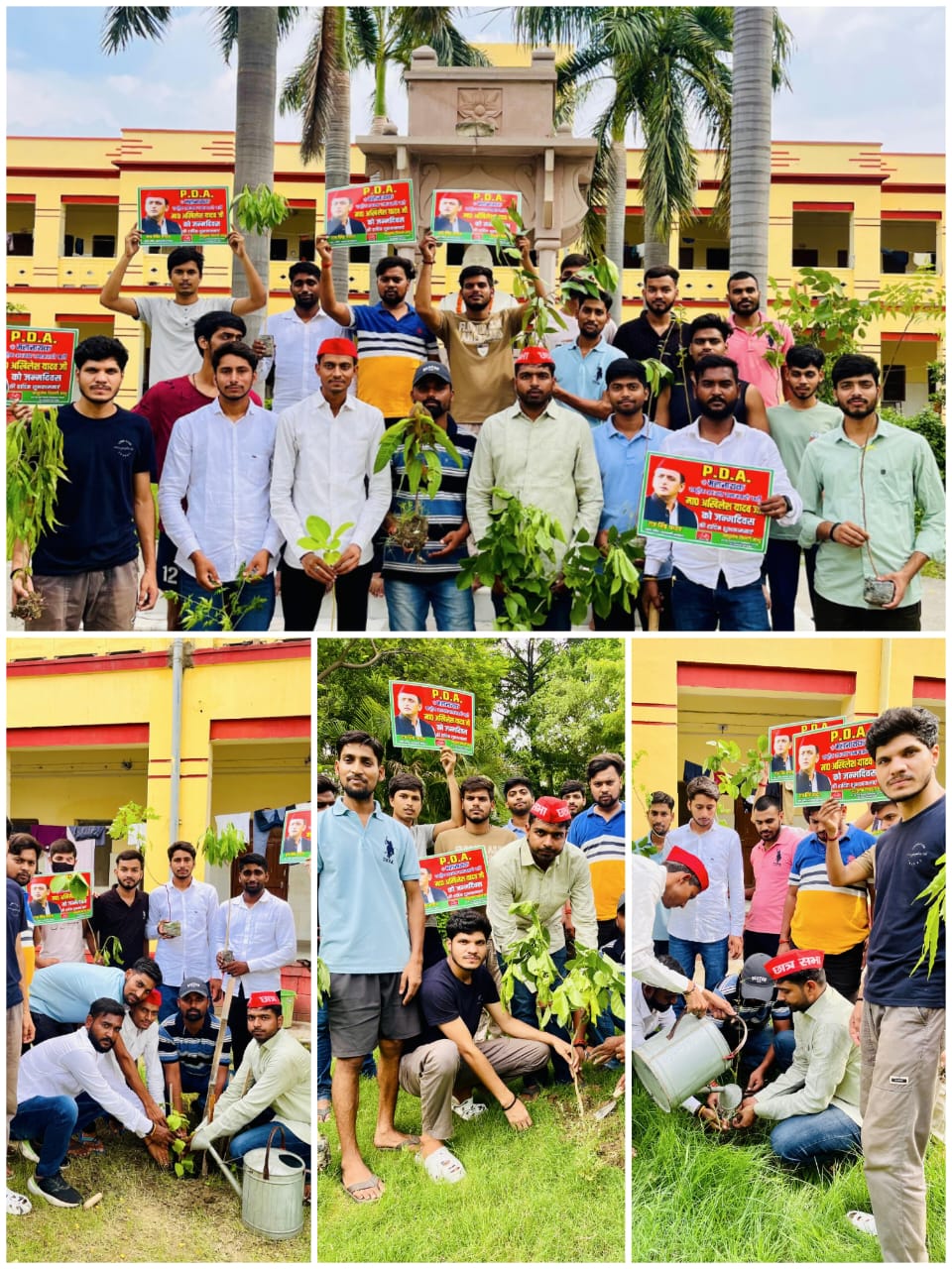अखिलेश यादव के जन्मदिवस की पूर्व संध्या पर समाजवादी छात्रसभा ने किया पौधारोपण