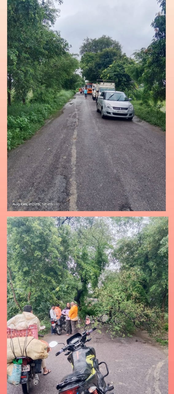 खोइरी-जमालापुर मार्ग पर पेड़ गिरने से जाम, राहगीर परेशान