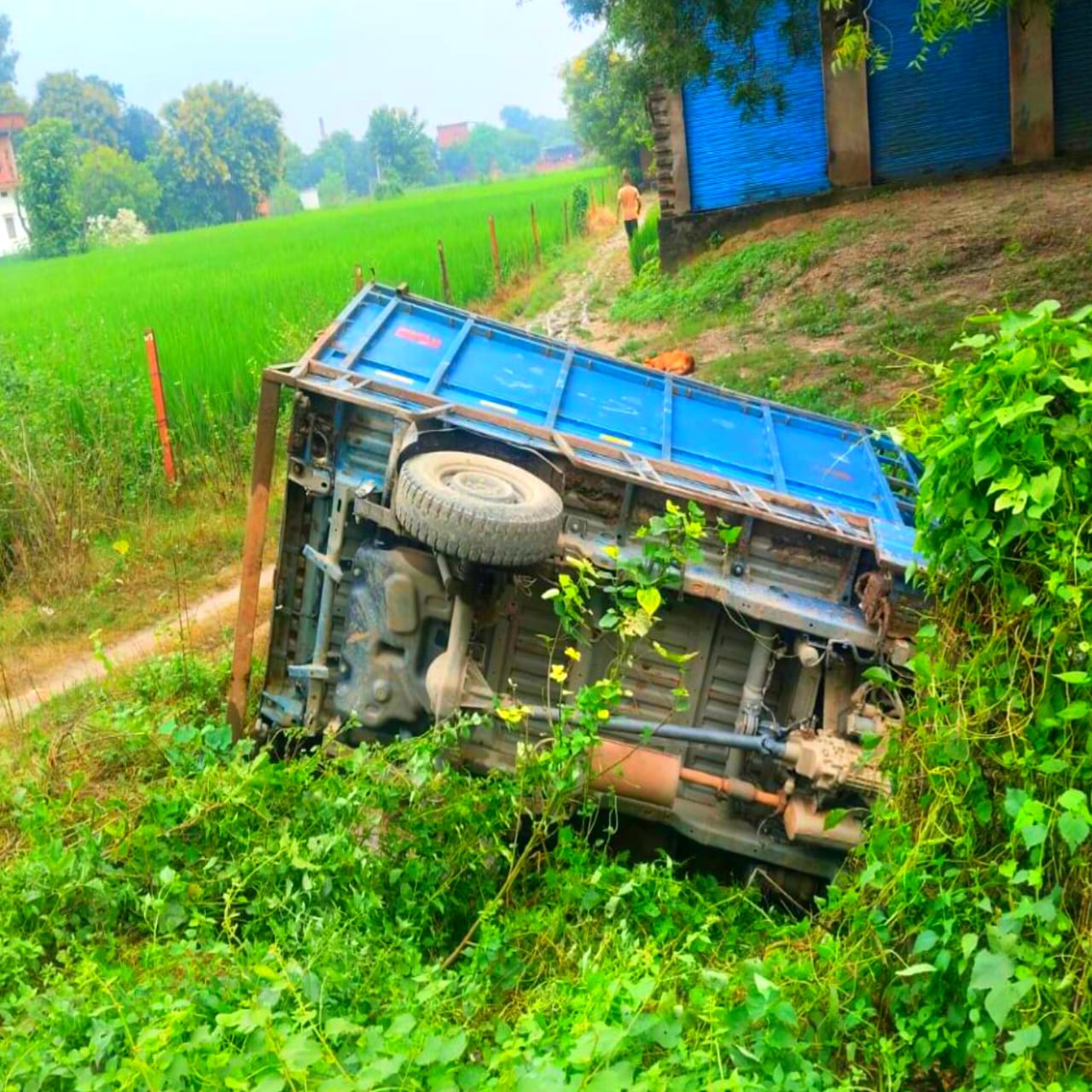 गाय से लदी मैजिक गाड़ी बाइक से टकराकर पलटी, चालक-परिचालक फरार