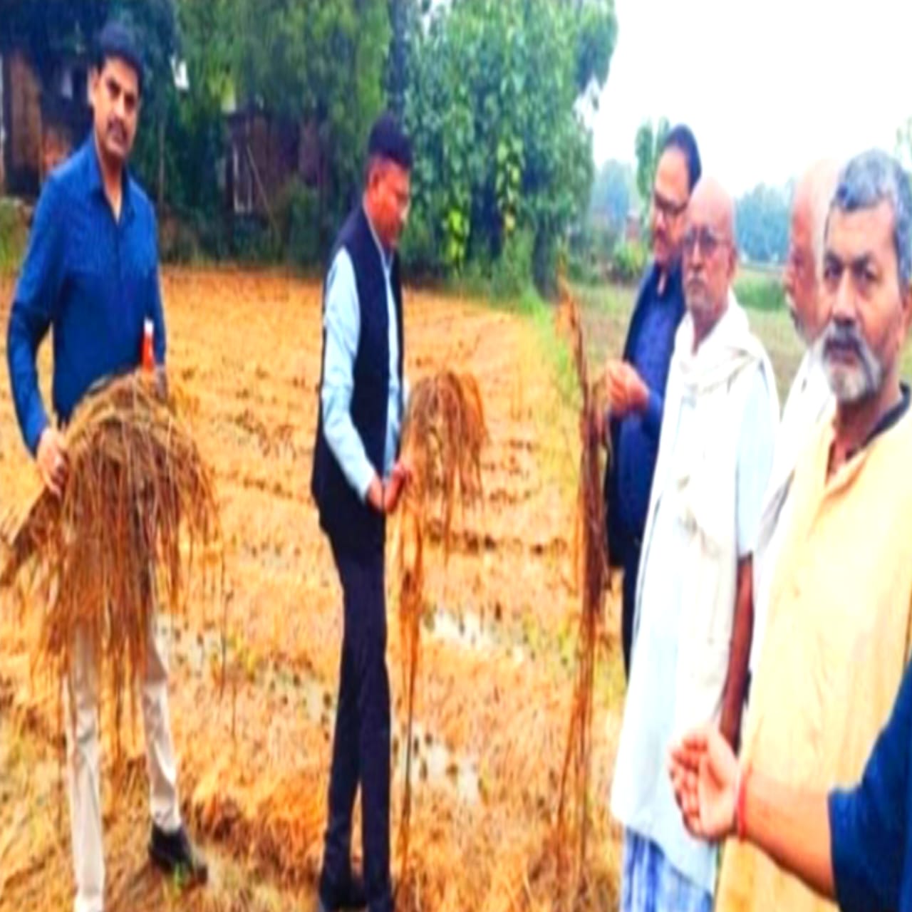 बेमौसम बारिश से खराब फसलों का अपर कृषि निदेशक ने लिया जायजा