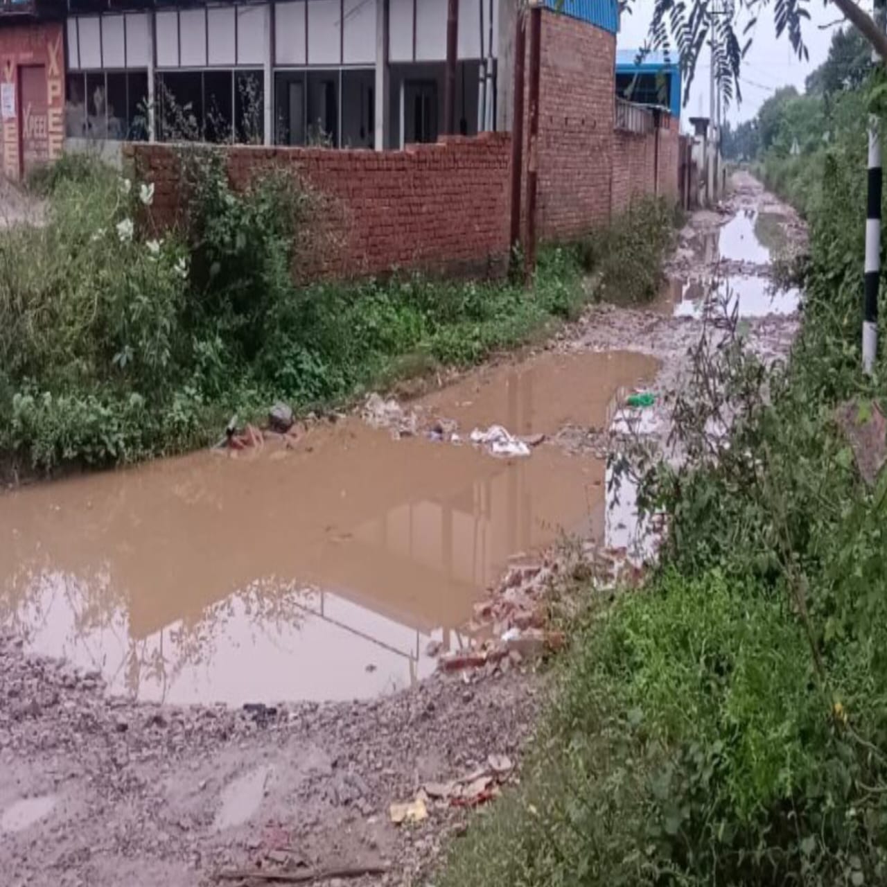 भंदहा कला–दुर्गवा मार्ग बदहाल, आए दिन हो रही दुर्घटनाएं