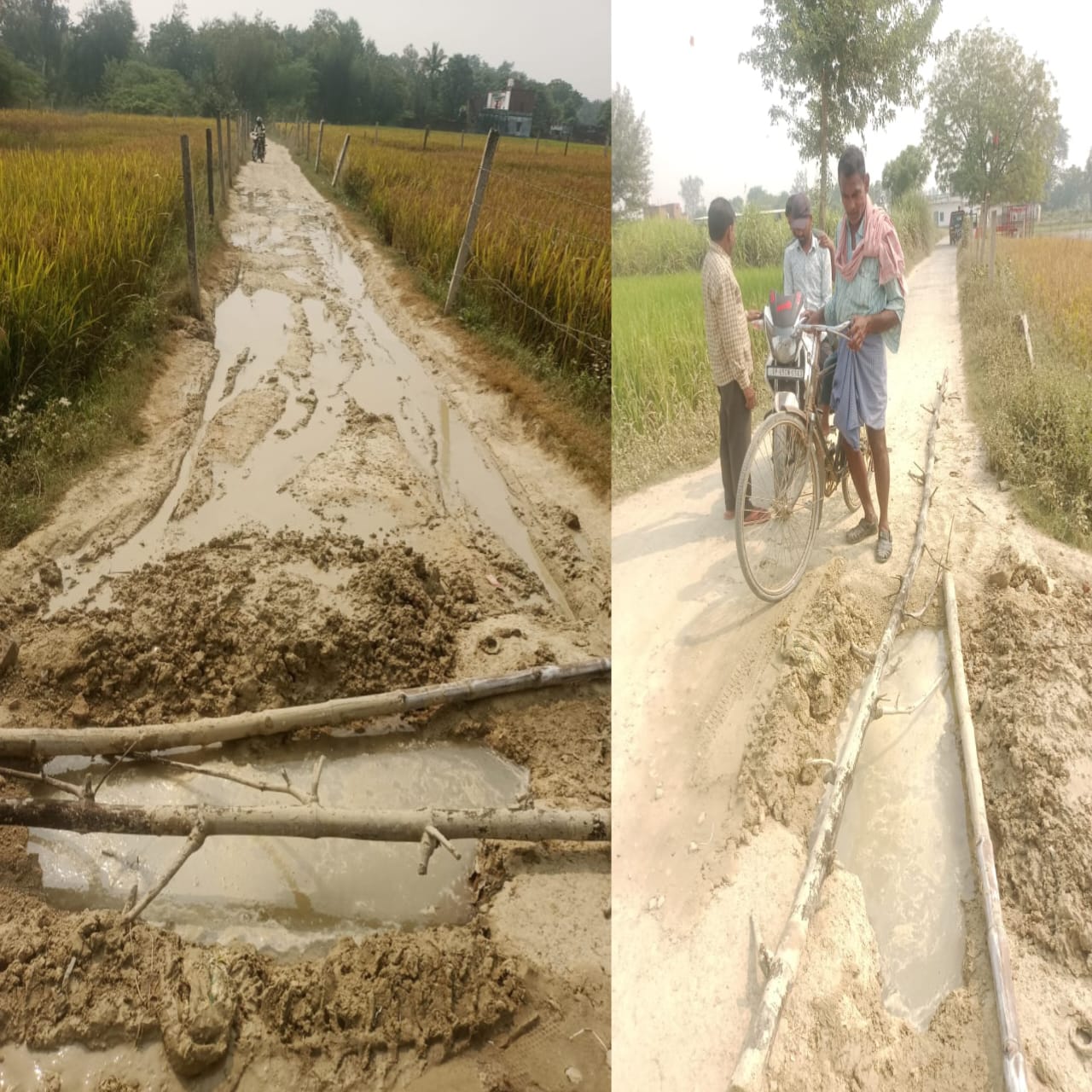 फटी पाइप लाइन से रास्ता दलदल में बदला, ग्रामीण परेशान