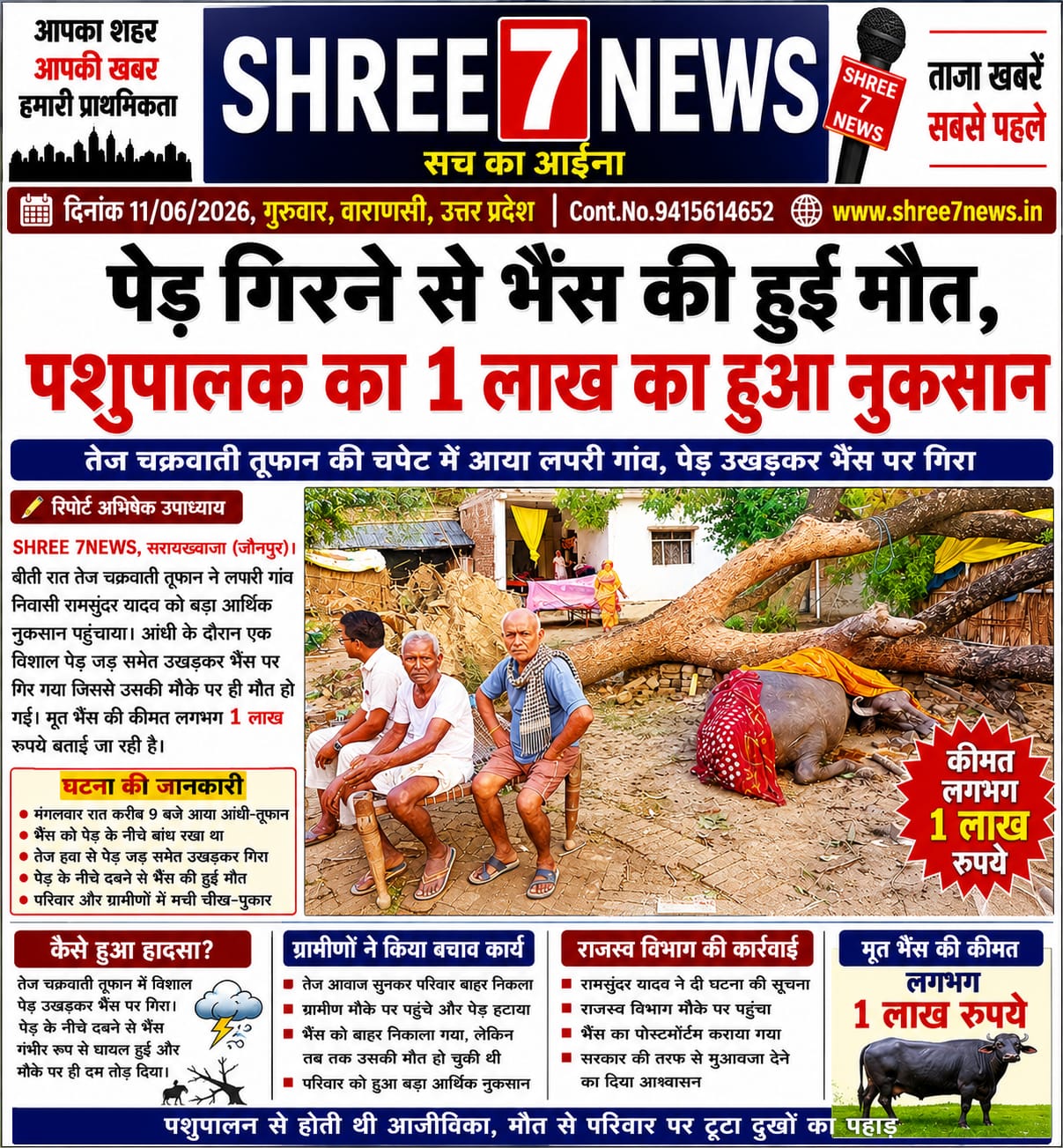 चक्रवाती तूफान में पेड़ गिरने से भैंस की मौत, पशुपालक को भारी नुकसान
