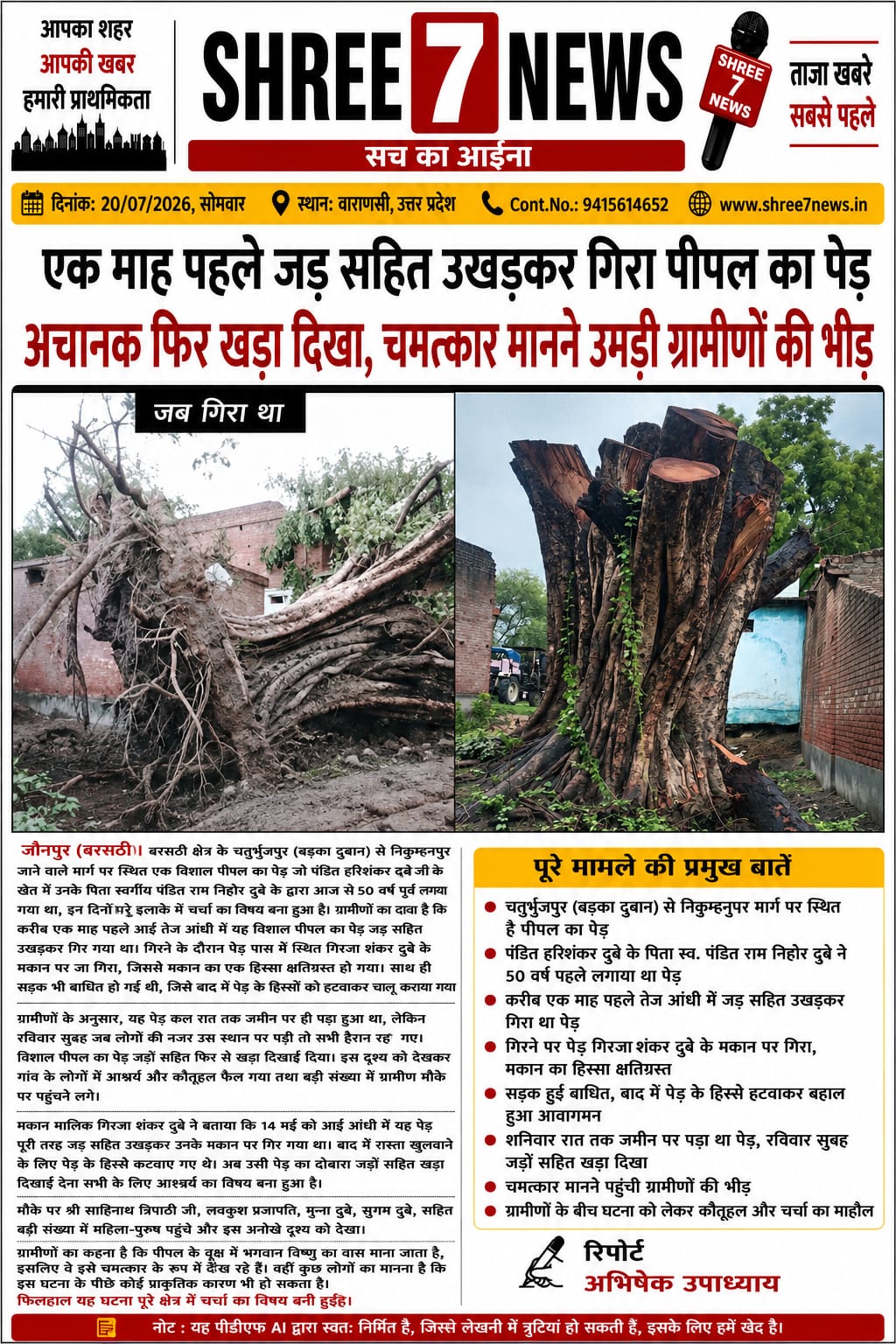 आंधी में जड़ समेत उखड़ा पीपल का पेड़ एक माह बाद फिर खड़ा दिखा, ग्रामीणों ने बताया चमत्कार